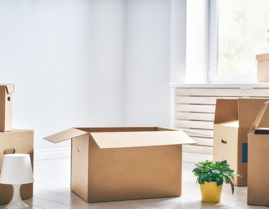 cardboard-boxes-in-room-2024-11-05-08-56-43-utc.jpg